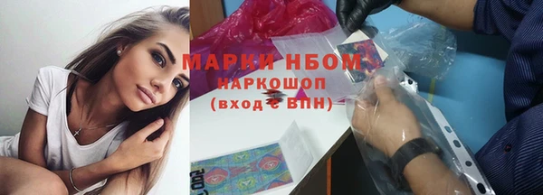 хмурый Инта
