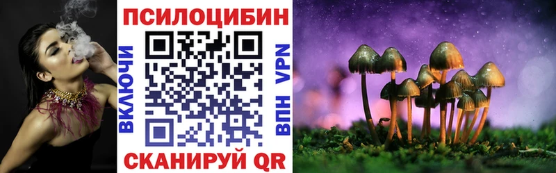 Купить закладки  Вытегра  Псилоцибиновые грибы мухоморы 
